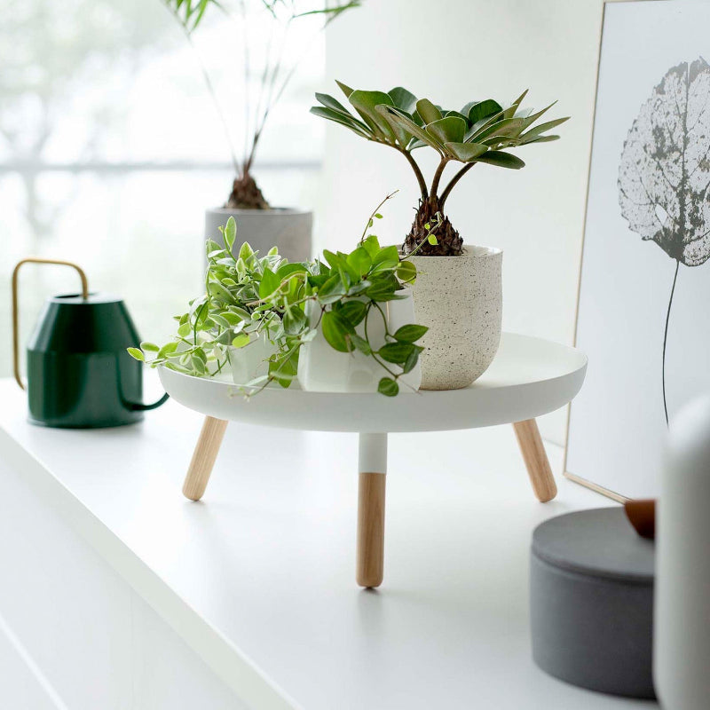 Countertop Pedestal Tray